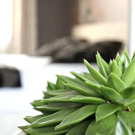 ホテル Logis Bienvenue デュエ・ラ・フォンテーヌ